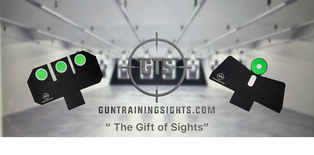 Gun Training Sights